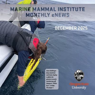MMI e-news cover showing Dave Mellinger and his team putting a glider into the ocean