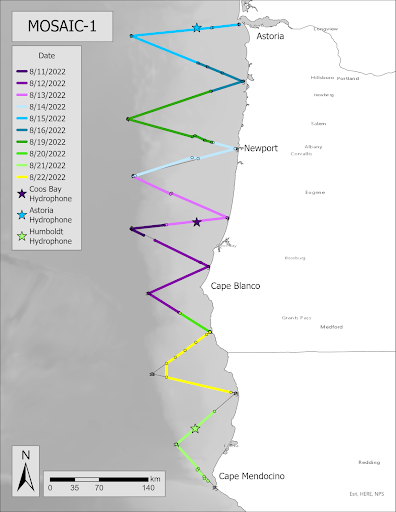 Figure showing tracklines, dates surveyed, and hydrophone deployment locations for MOSAIC survey #1 
