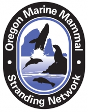 OMMSN logo