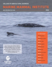 MMI Newsletter 2024 Cover showing beaked whales surfacing